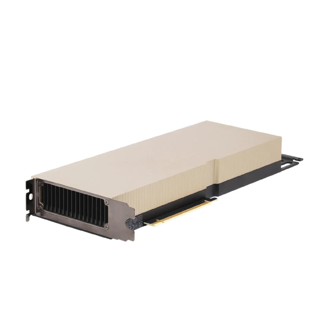 GPUs / Graphics Cards