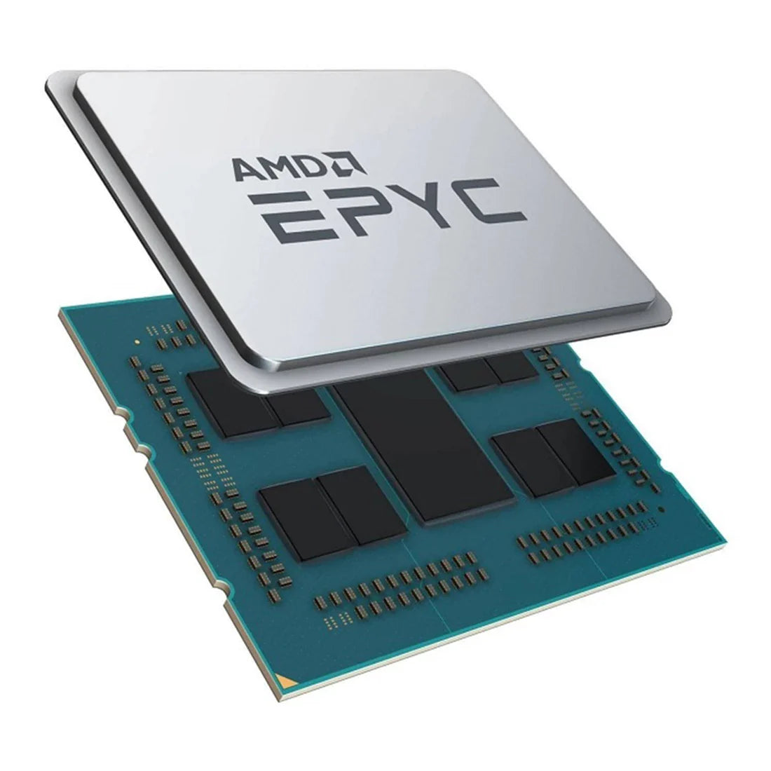CPUs / Processors